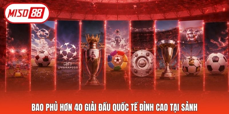 Bao phủ hơn 40 giải đấu quốc tế đỉnh cao tại sảnh