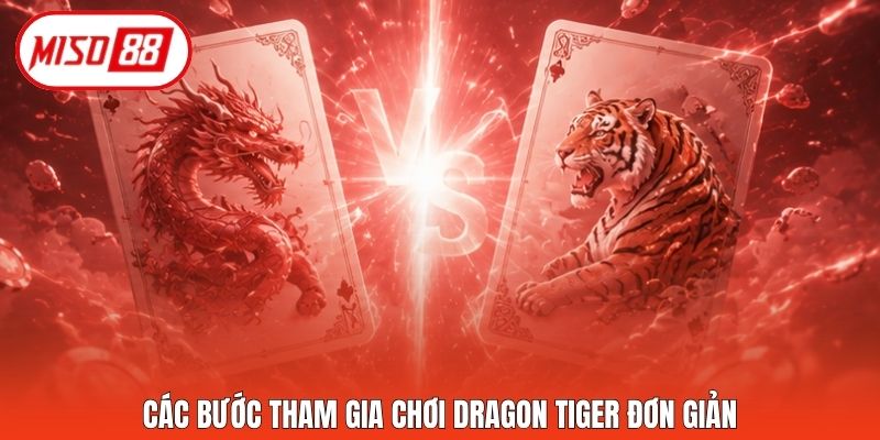 Các bước tham gia chơi Dragon Tiger đơn giản