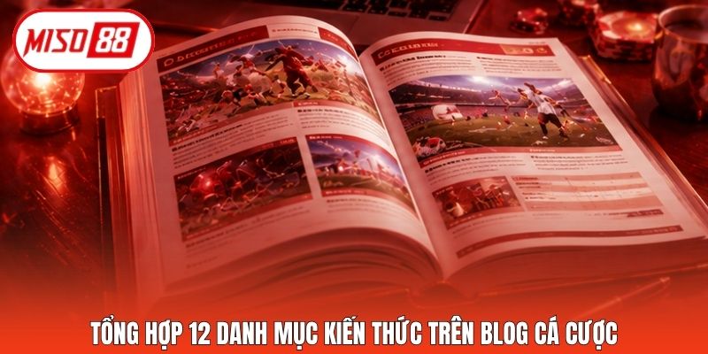 Tổng hợp 12 danh mục kiến thức trên blog cá cược
